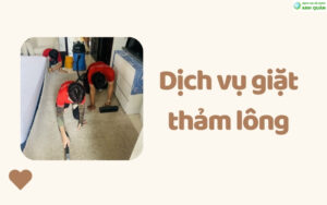 dịch vụ giặt thảm lông
