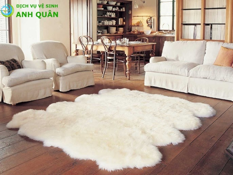 Vệ sinh thảm trải sàn nhà (3) Vệ sinh thảm trải sàn nhà (3)