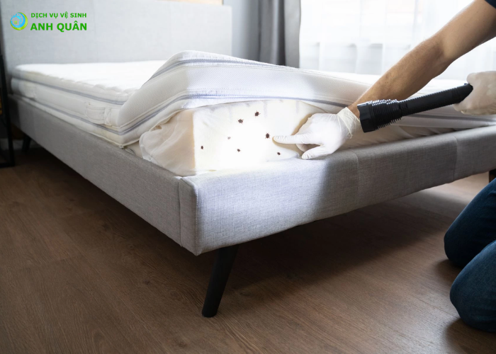 cách diệt rệp trên nệm (1)