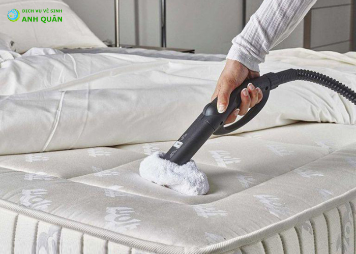 cách diệt rệp trên nệm (6)