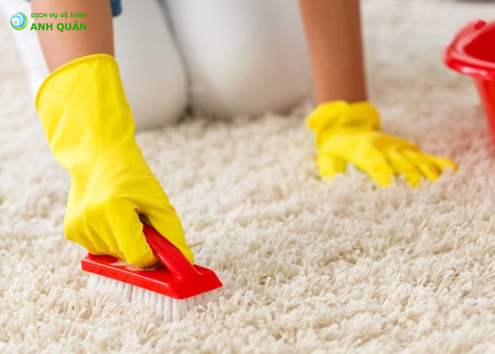 cách làm sạch thảm lông xù (3)