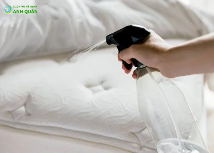 giặt nệm bằng cồn (3)