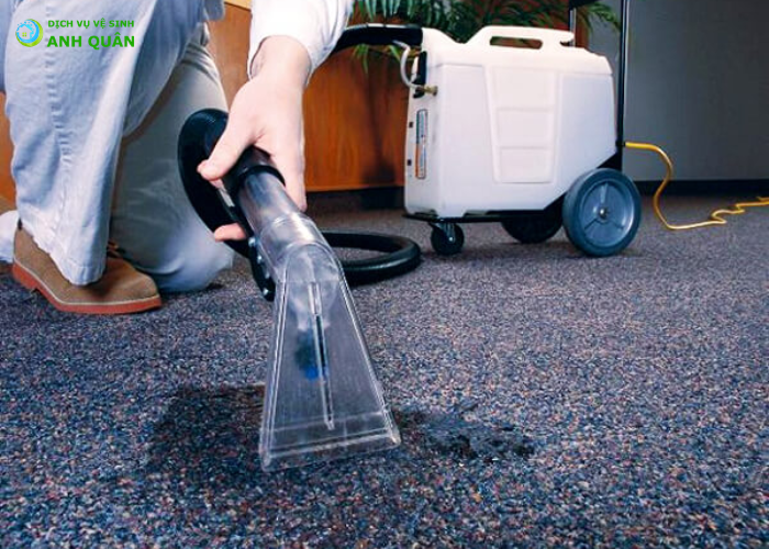 giặt thảm bị chó mèo đi vệ sinh (5)